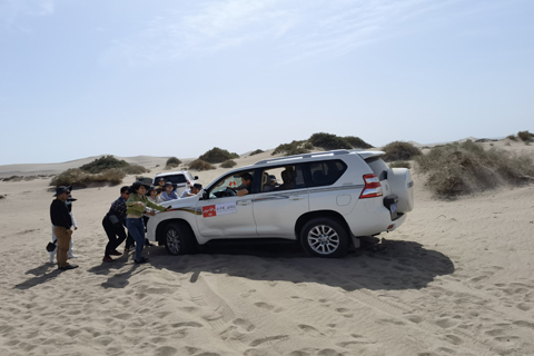 KPay钱包 - 数字化聚合支付新体验